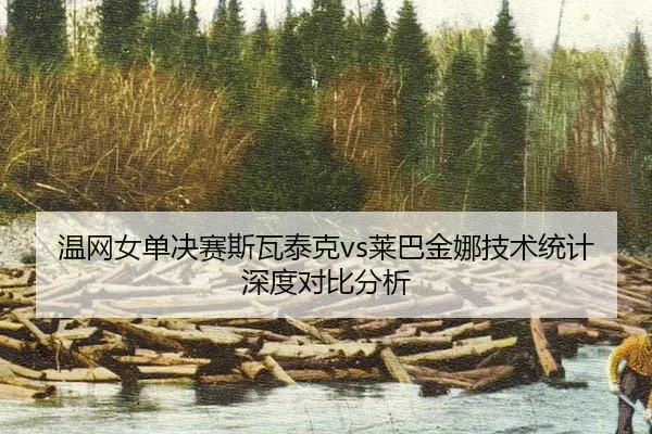 温网女单决赛斯瓦泰克vs莱巴金娜技术统计深度对比分析