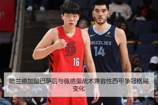 ha-lan-de-jia-meng-ba-sa-hou-yu-pei-de-li-zhan-shu-jian-rong-xing-xi-jia-zheng-guan-ge-ju-bian-hua-3-955.jpg